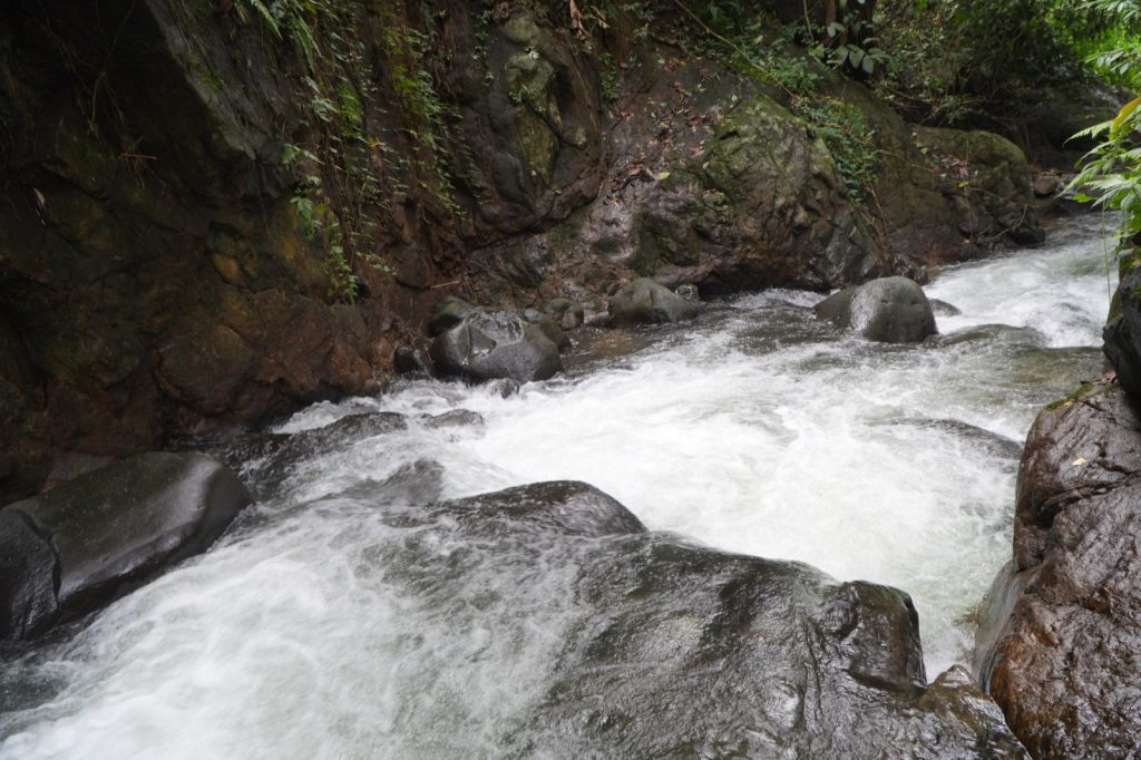 Aliran air berbatu di jalur trekking Curug Kencana Sentul
