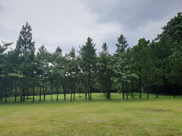Lapangan rumput luas dengan pepohonan di Talaga Cikeas untuk permainan team building dan outbound Bogor.